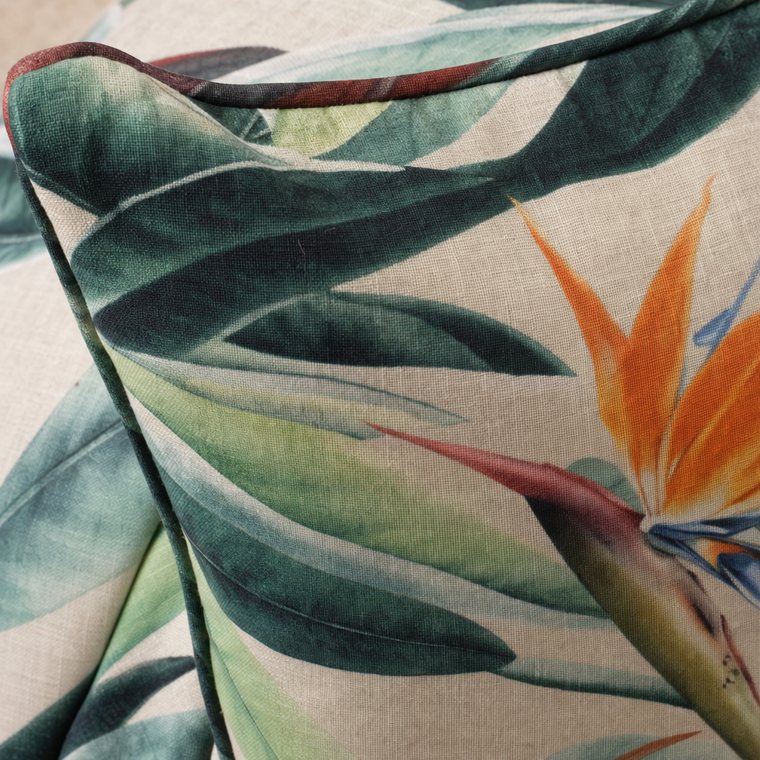 Bird of Paradise — detail